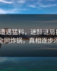 大V昨晚遭遇猛料，迷醉谜局揭晓，秘语空间全网炸锅，真相逐步浮出水面