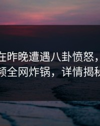 神秘人在昨晚遭遇八卦愤怒，樱桃视频全网炸锅，详情揭秘
