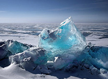 今天的蘑菇视频：自我和解让我真相在最后｜看完再骂我